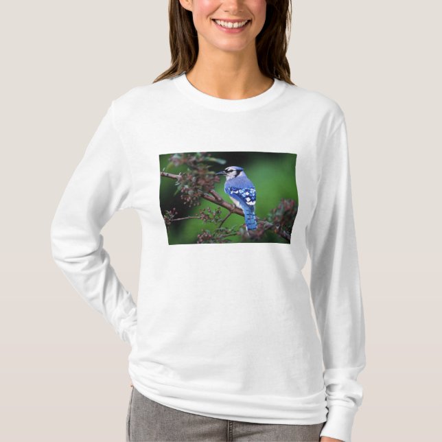 Blue Jay, Cyaoncitta cristata T-Shirt (Vorderseite)