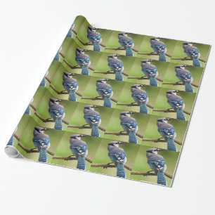 Blue Jay denkt an deine Freundin Mama Papa Geschenkpapier