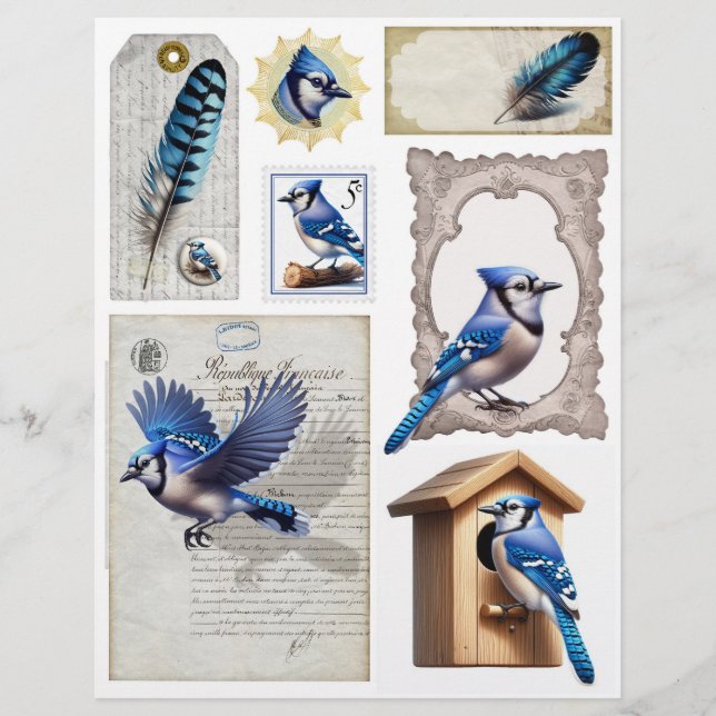 Blue Jay Ephemera Fussy Cuts (Vorderseite)