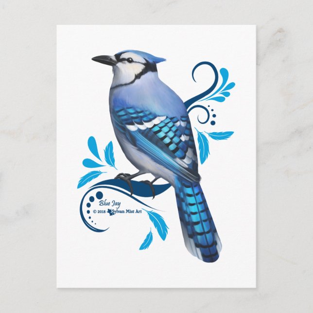 Blue Jay Feiertagspostkarte (Vorderseite)