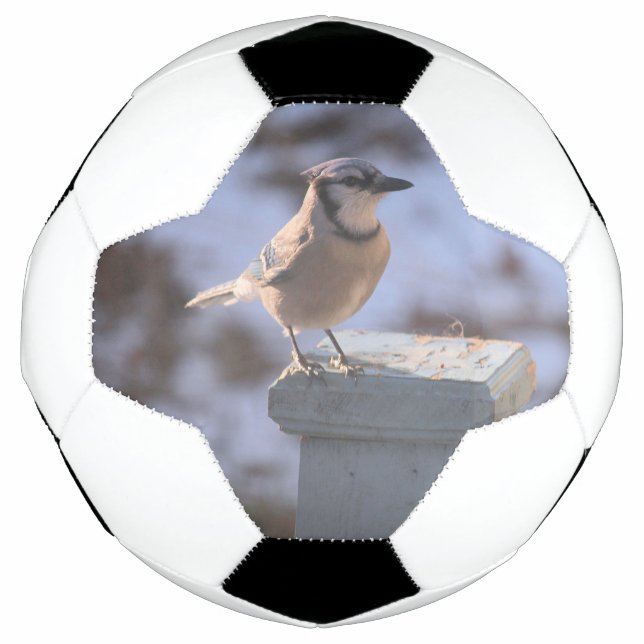 Blue Jay Fußball (Vorderseite)