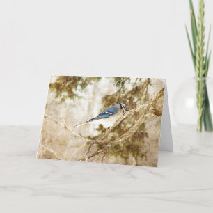 Blue Jay, Geburtstag Karte