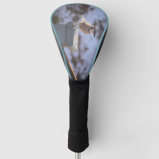 Blue Jay Golf Headcover (Vorderseite)