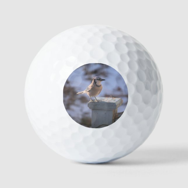 Blue Jay Golfball (Vorderseite)