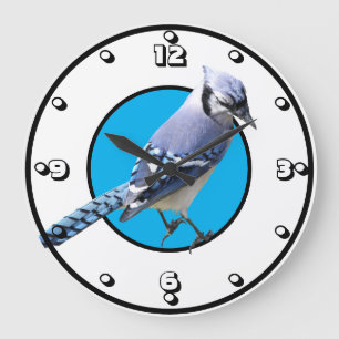 Blue Jay Große Wanduhr