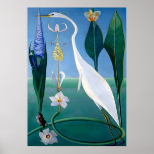 Blue Jay im Winter von Abbott Handerson Thayer Poster