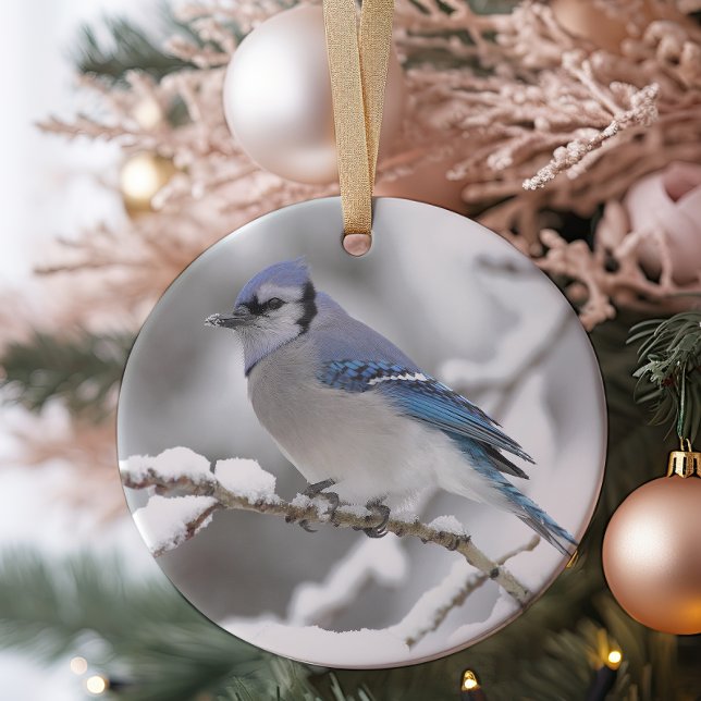 Blue Jay in Algonquin Park Keramikornament (Von Creator hochgeladen)