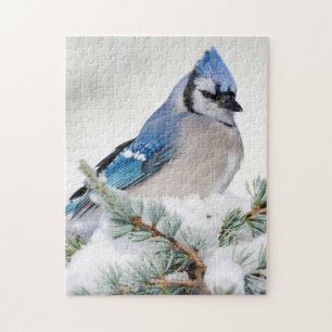 Blue Jay in Blue Atlas Cedar Puzzle
