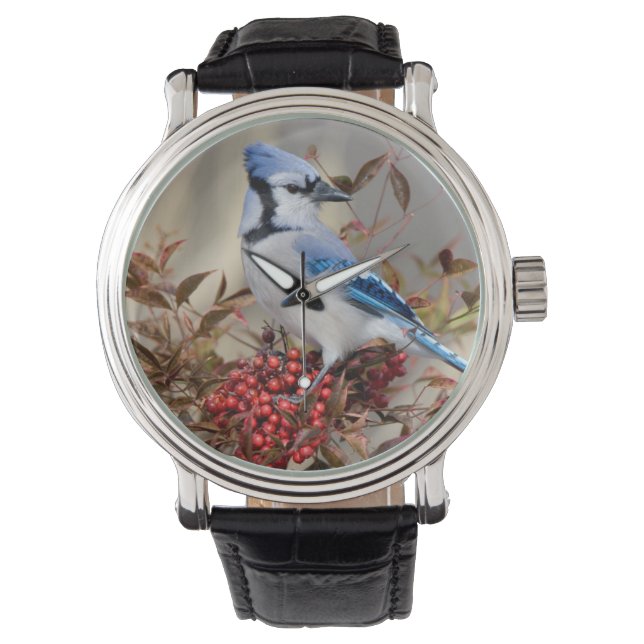 Blue Jay in Nandina Himmlisch Bamboo Armbanduhr (Vorderseite)