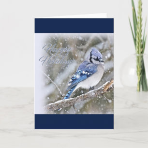 Blue Jay in Snow Christmas Holiday Feiertagskarte