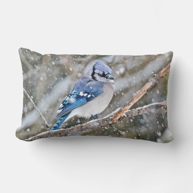 Blue Jay in Snowstorm Lendenkissen (Vorderseite)