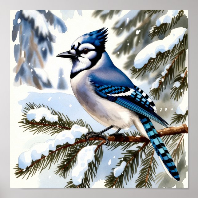 Blue Jay in Snowy Pines Watercolor Winter Bird Poster (Vorne)