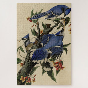 Blue Jay - John James Audubons Vögel in Amerika Puzzle
