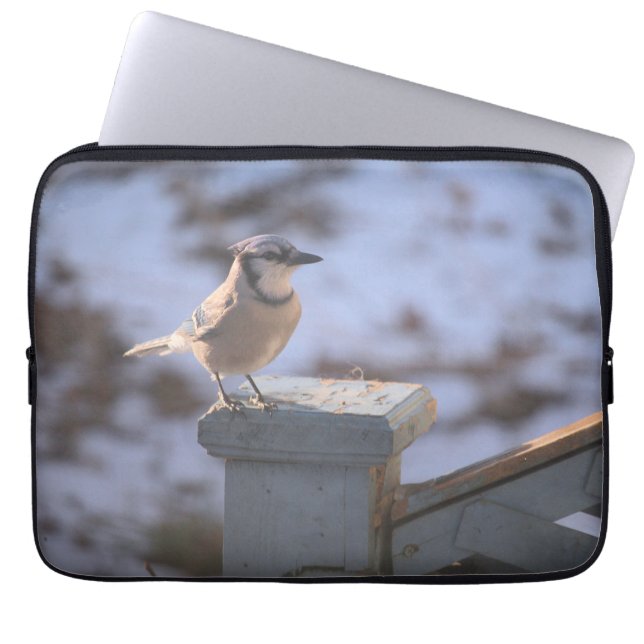 Blue Jay Laptopschutzhülle (Vorderseite)