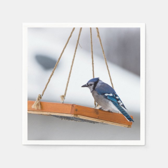 Blue Jay Lunch Serviette (Vorderseite)