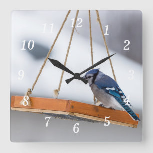 Blue Jay Lunch Wall Clock Quadratische Wanduhr