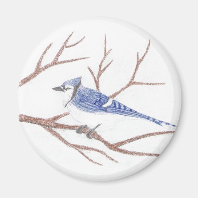 Blue Jay Magnet (Vorne)