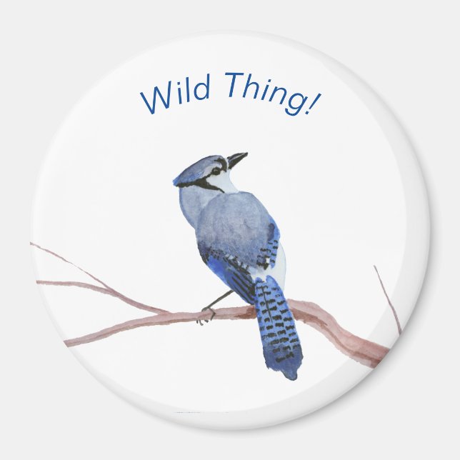 Blue Jay Magnet (Vorne)