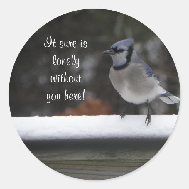 Blue Jay: Ohne Sie hier Aufkleber (Vorderseite)