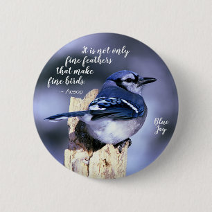 Blue Jay on Post Wildlife Fotografy Nature Button