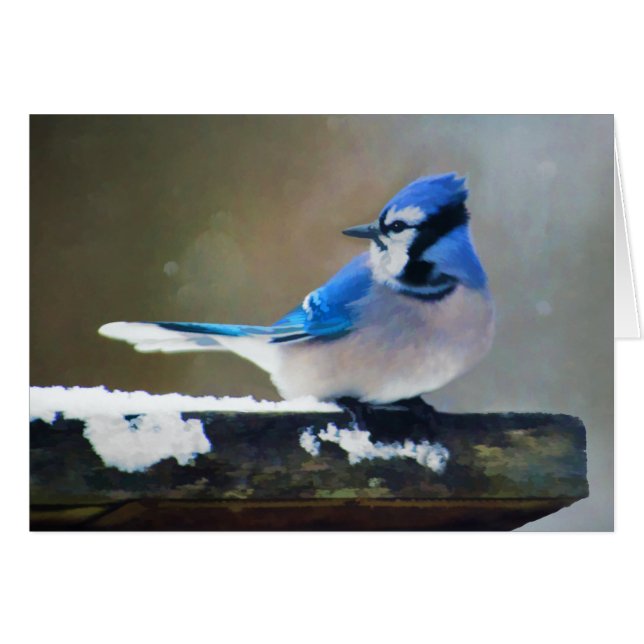 Blue Jay Painting - Original Bird Art (Vorderseite (Horizontal))