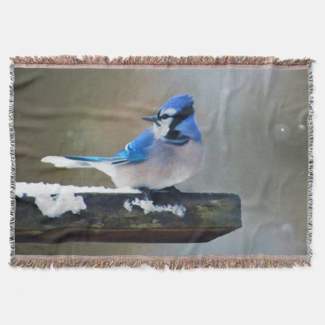 Blue Jay Painting - Original Bird Art Decke (Vorderseite)
