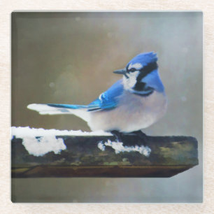 Blue Jay Painting - Original Bird Art Glasuntersetzer