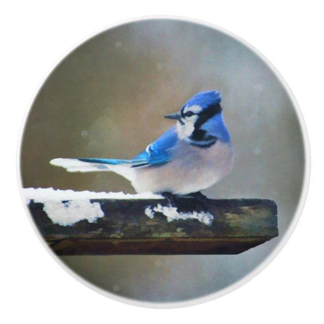 Blue Jay Painting - Original Bird Art Keramikknauf (Vorderseite)