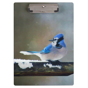 Blue Jay Painting - Original Bird Art Klemmbrett