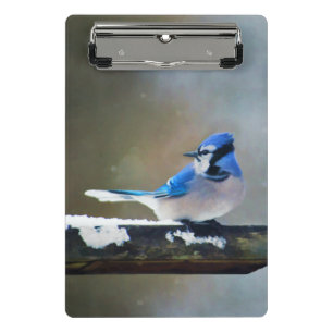 Blue Jay Painting - Original Bird Art Mini Klemmbrett