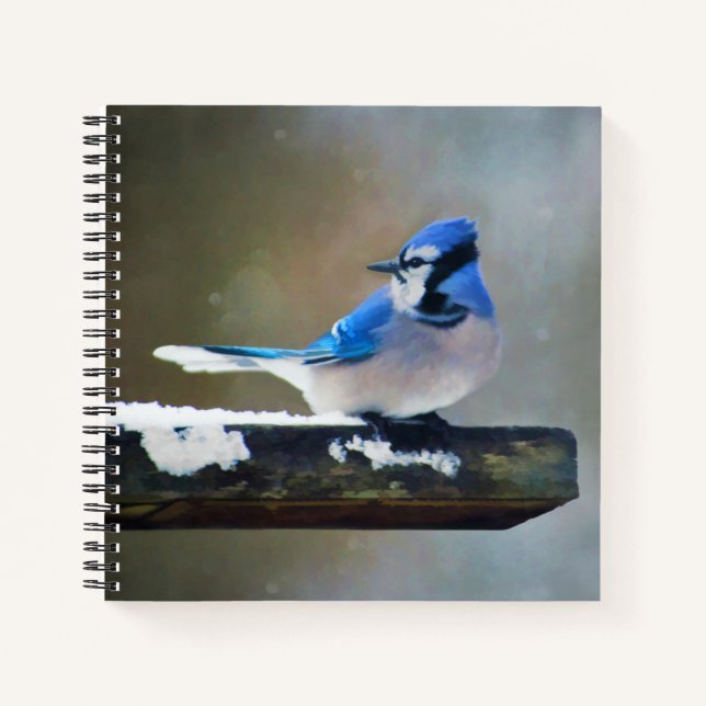 Blue Jay Painting - Original Bird Art Notizbuch (Vorderseite)