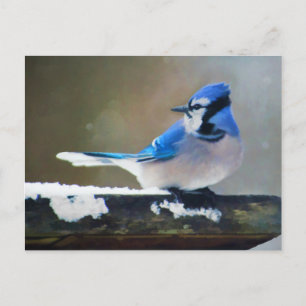 Blue Jay Painting - Original Bird Art Postkarte
