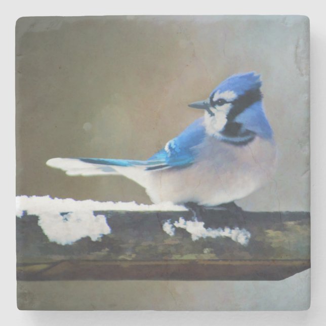 Blue Jay Painting - Original Bird Art Steinuntersetzer (Vorderseite)