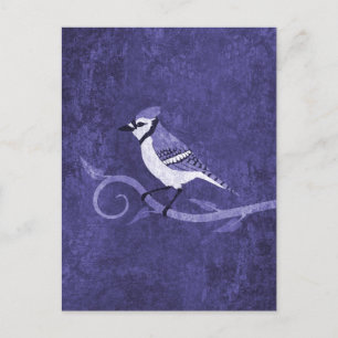 Blue Jay Postcard Postkarte