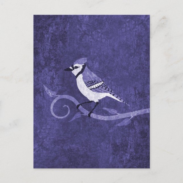 Blue Jay Postcard Postkarte (Vorderseite)