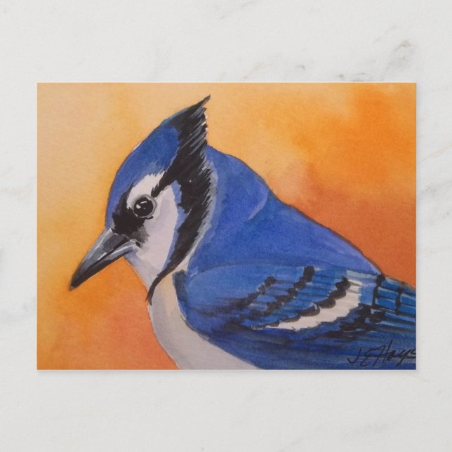 Blue Jay Postcard Postkarte (Vorderseite)