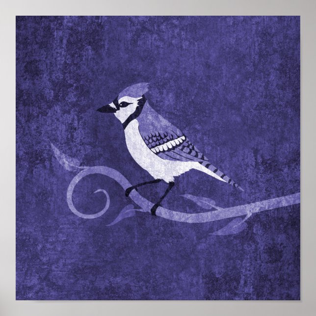 Blue Jay Poster (Vorne)