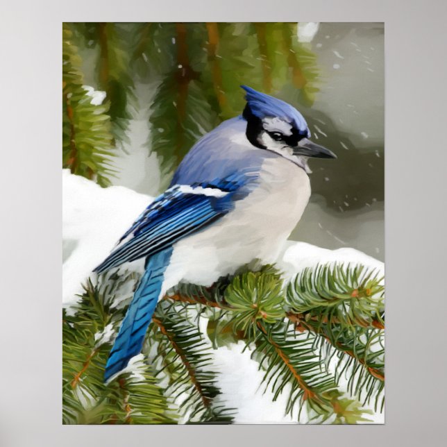 Blue Jay Poster (Vorne)