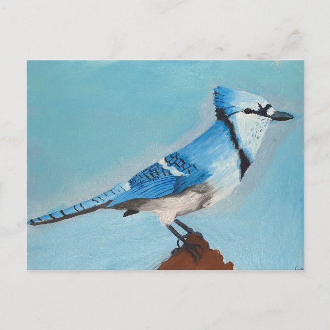 Blue Jay Postkarte (Vorderseite)