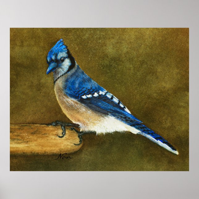 Blue Jay Print Poster (Vorne)