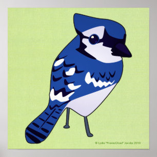 Blue Jay Print Poster