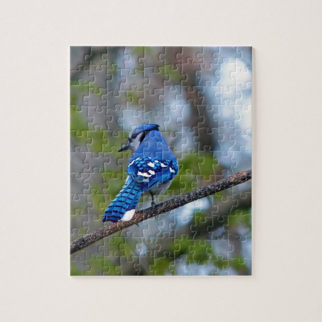 Blue Jay Puzzle (Vertikal)