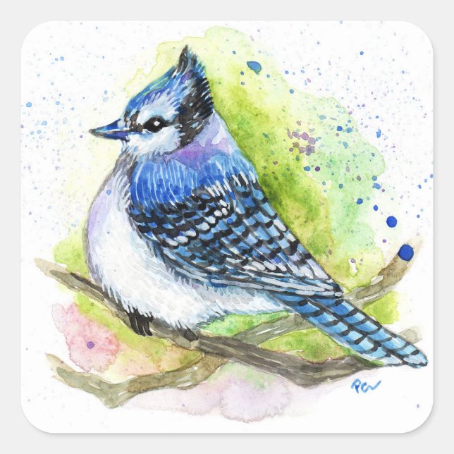 Blue Jay Quadratischer Aufkleber (Vorderseite)