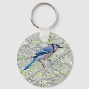 Blue Jay Songbird Schlüsselanhänger