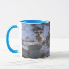 Blue Jay Tasse