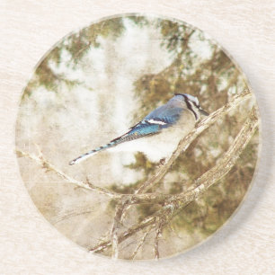 Blue Jay Untersetzer