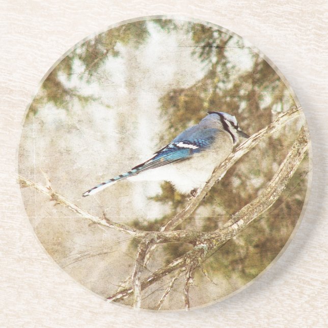 Blue Jay Untersetzer (Vorne)