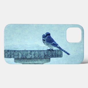 Blue Jay Winter Fütternd Painterly iPhone Case