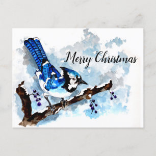 Blue Jay Winter Holiday Card Feiertagspostkarte