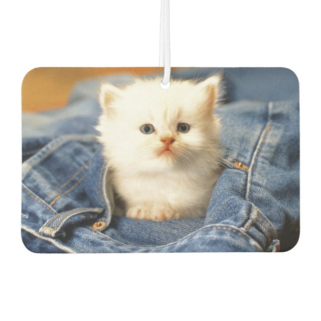 Blue Jean Pocket Kitten Air Freshener Autolufterfrischer (Vorderseite)